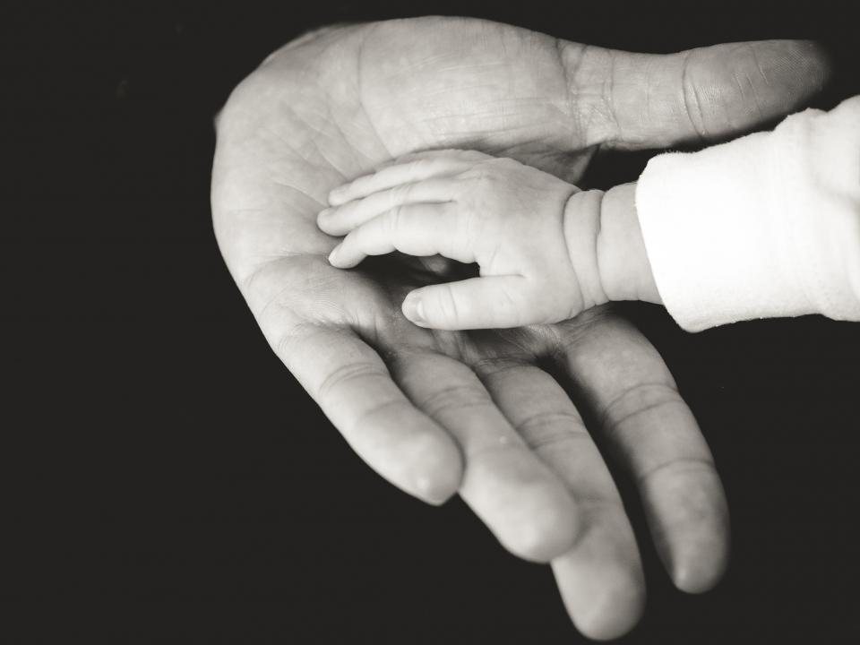 A child’s hand resting on an adult’s palm