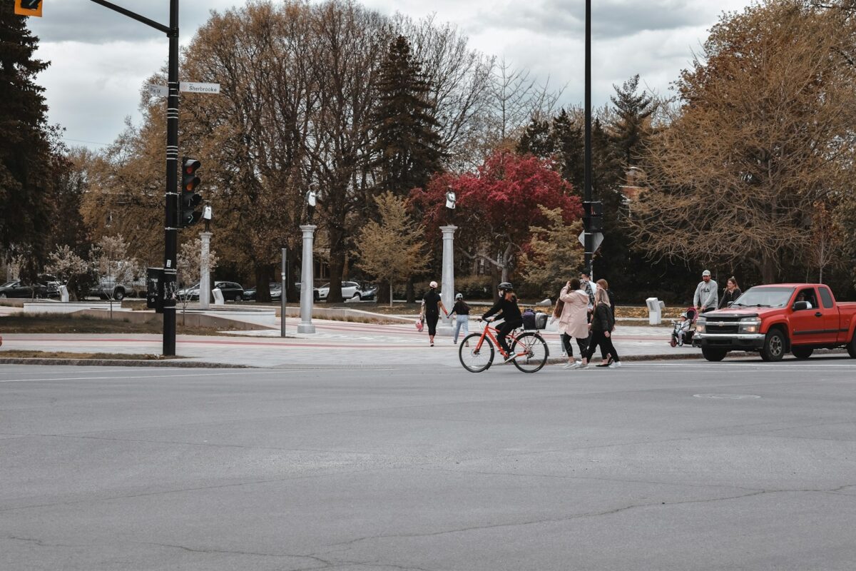 People cycling down a street lined with bare trees