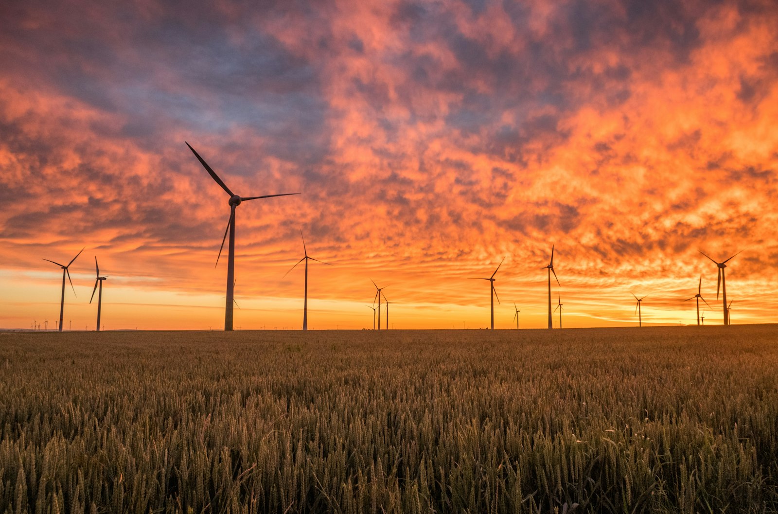 Wind turbines lined up in a field under an orange sunset